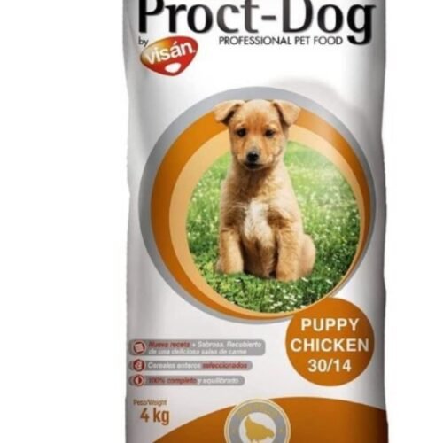 PHOTO-2025-07-07-20-29-21 PROCT DOG PUPPY