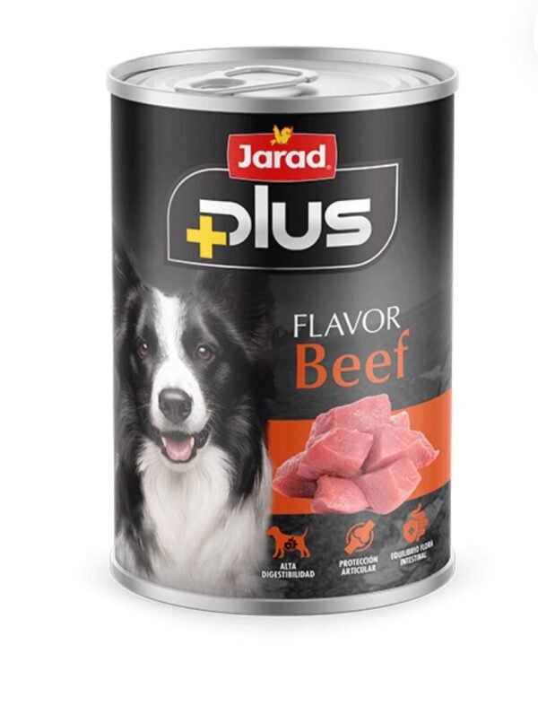 PHOTO-2025-07-14-12-16-11 beef