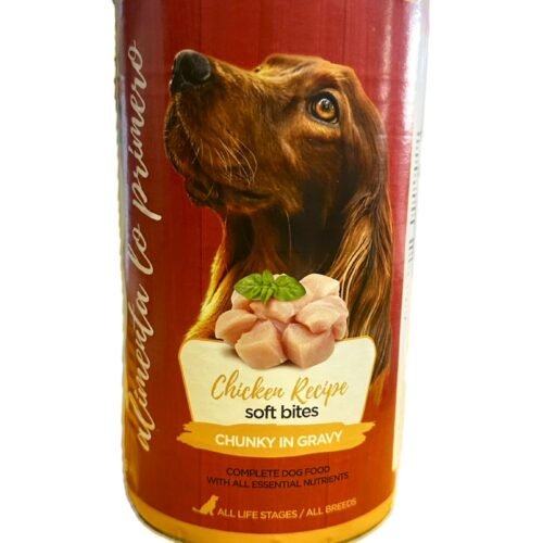 PHOTO-2025-07-22-10-17-43 dog humedo