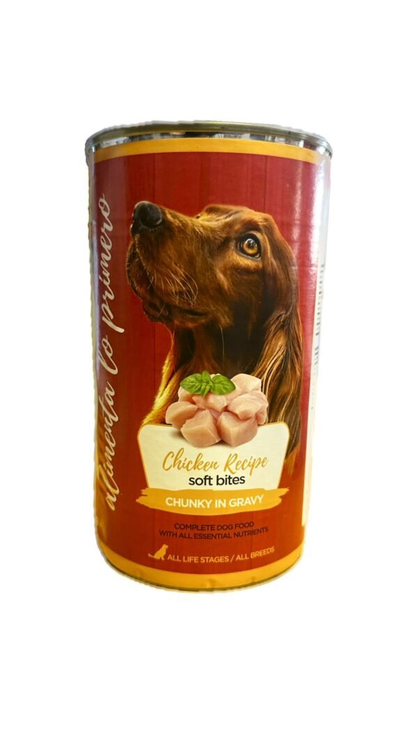 PHOTO-2025-07-22-10-17-43 dog humedo