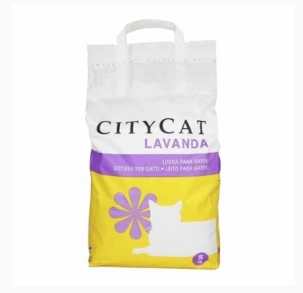 ARENA CITY CAT LAVANDA