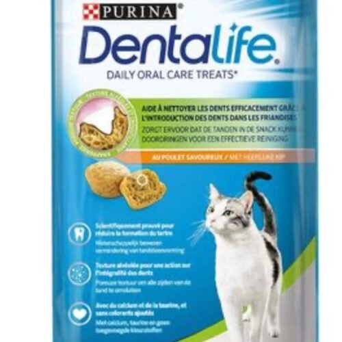 DENTALIFE SNACK 40G