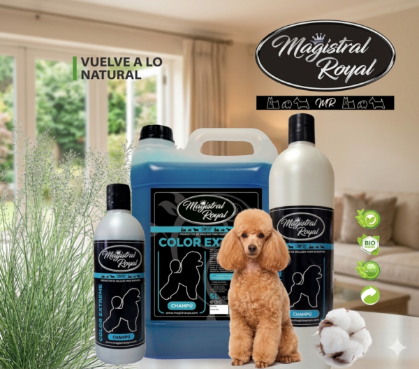 CHAMPÚ COLOR EXTREM MAGISTRAL ROYAL 5L .